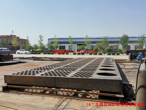 山西15噸生物質鍋爐除塵器 山西15噸生物質鍋爐除塵器