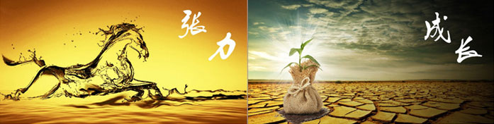 企業發展要學會取他人之長、補自己之短